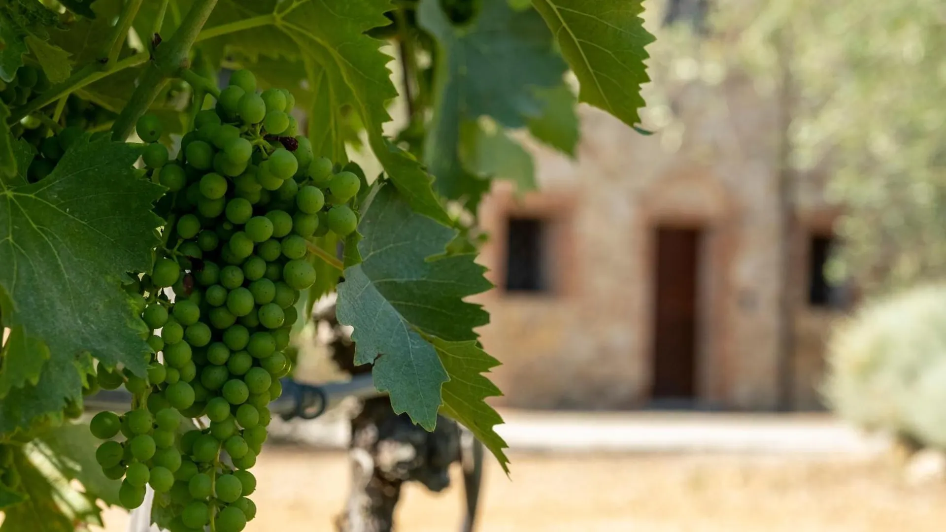 アパートホテル Agriturismo Monacianello - Fontebelvedere Wine Estate Ponte A Bozzone イタリア