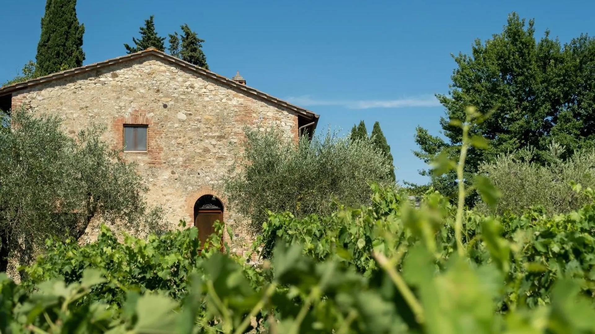 Agriturismo Monacianello - Fontebelvedere Wine Estate Ponte A Bozzone 0*,