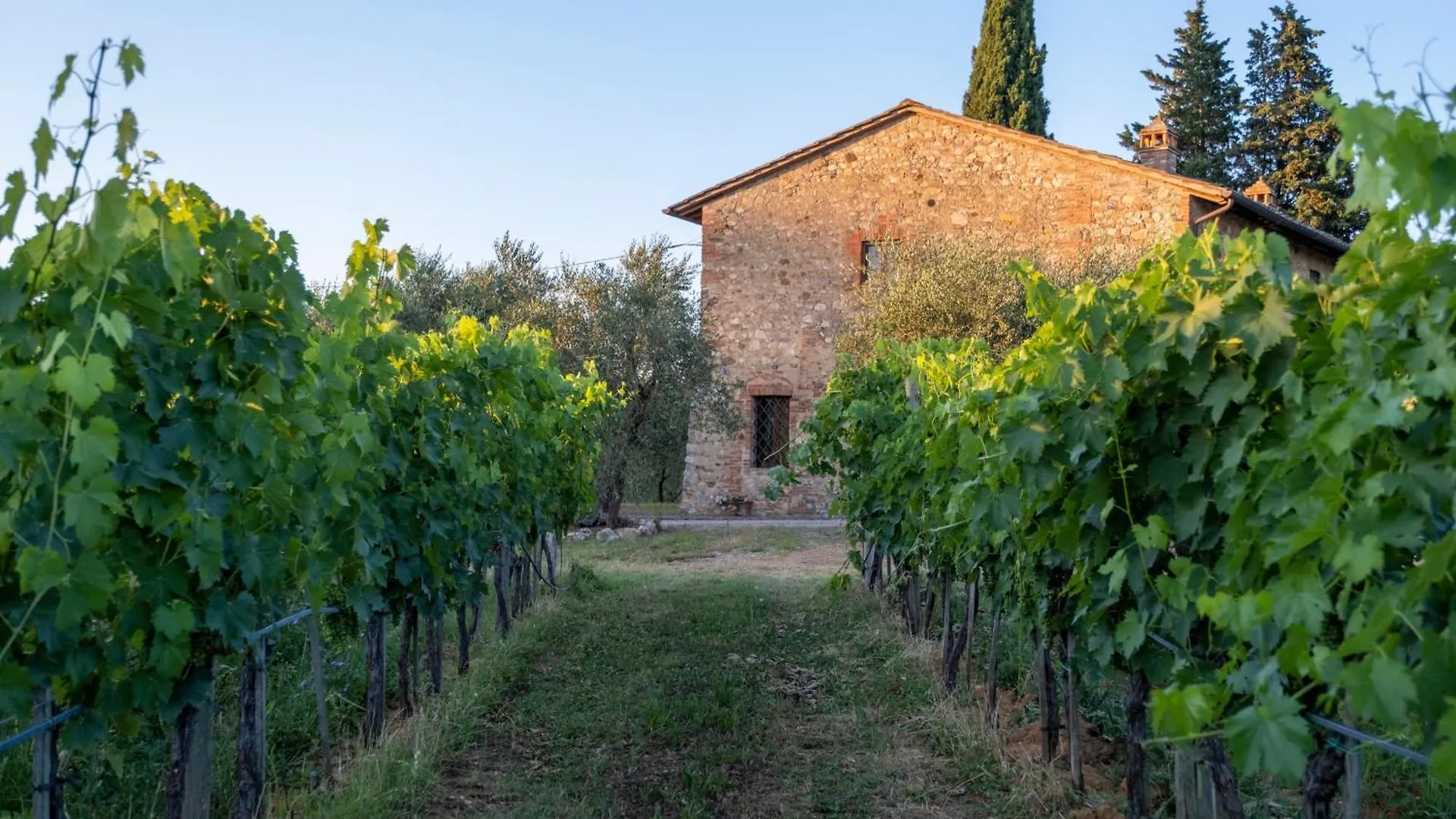 Agriturismo Monacianello - Fontebelvedere Wine Estate Ponte A Bozzone イタリア