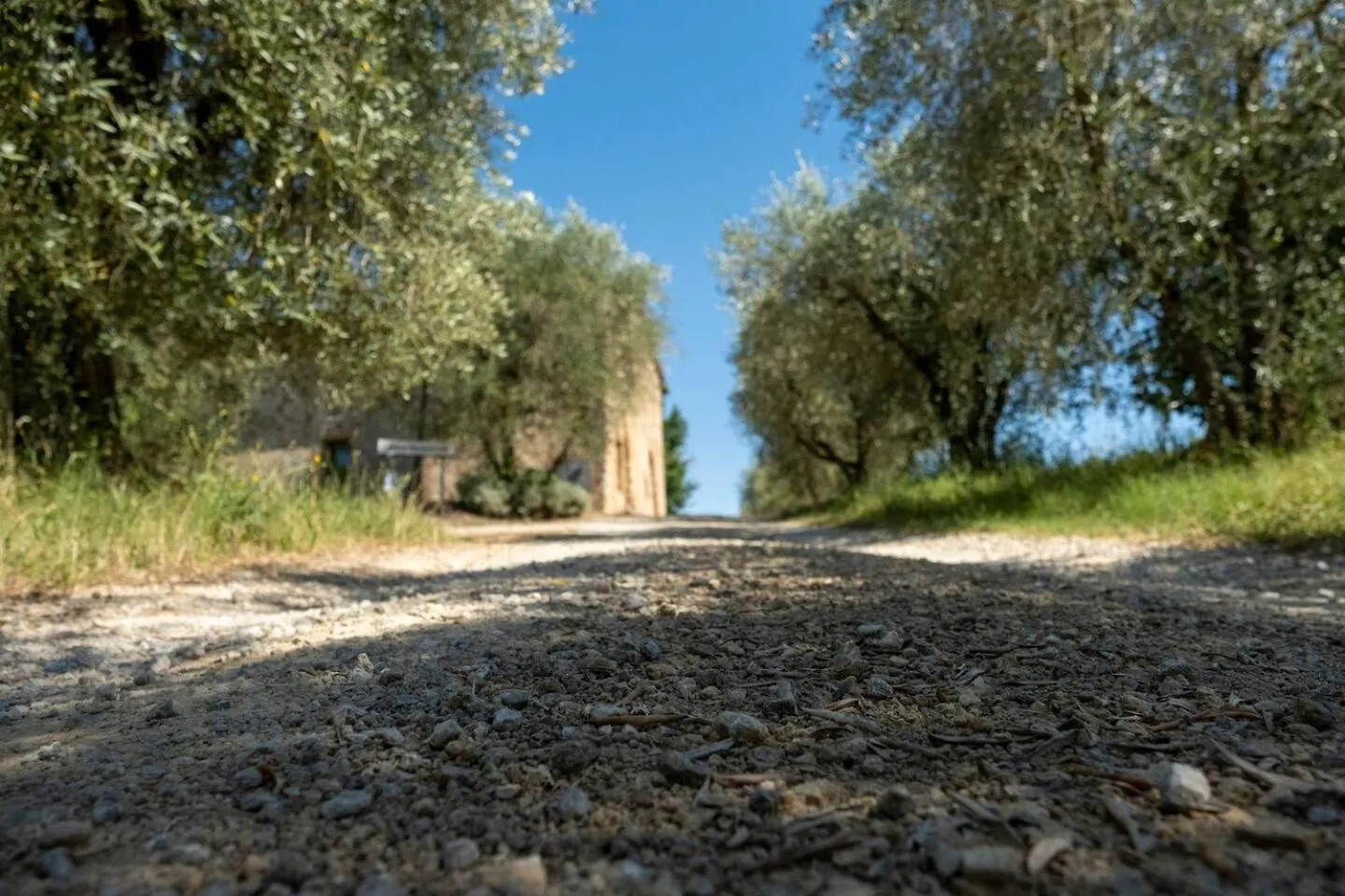 Agriturismo Monacianello - Fontebelvedere Wine Estate Ponte A Bozzone アパートホテル