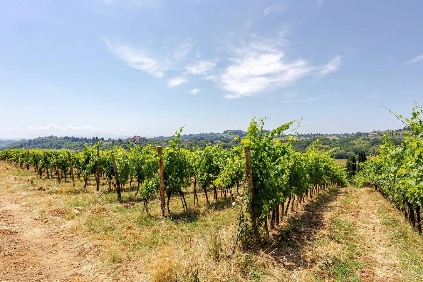 Agriturismo Monacianello - Fontebelvedere Wine Estate Ponte A Bozzone 0*,